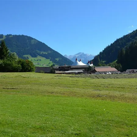 Jacqueline 22 By Interhome * Gstaad